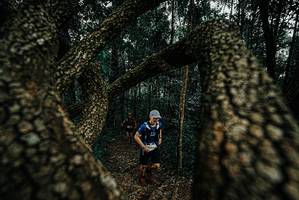 BIB: 
                            <button type="button" onclick="openModal(25673158)" class="btn btn-primary btn-sm float-right btn-popup" data-toggle="modal" data-target=".modal-high-quality">
                        <i class="fas fa-shopping-cart"></i> Add to Cart
                    </button>
                                            <button type="button" onclick="isThisMe(25673158, true)" class="btn btn-success btn-sm float-right btn-popup btn-isme hidden" data-toggle="tooltip" data-placement="bottom" title="นี่คือรูปของคุณใช่ไหม คลิกที่นี่เพื่อเอาเข้าอัลบั้ม">
                        <i class="fas fa-plus"></i> Add to album
                    </button>
                    <button type="button" onclick="isThisMe(25673158, false)" class="btn btn-warning btn-sm float-right btn-popup btn-isnotme hidden">
                        <i class="fas fa-ban"></i> Remove from album
                    </button>